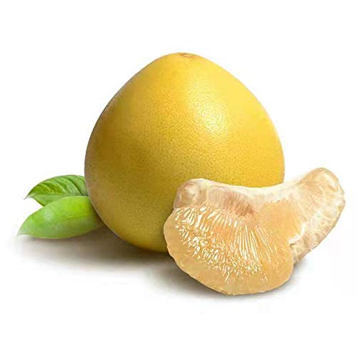 SharePomelozzini®-Pralinen 4 Stück, fermentierte Pomelofrucht - Image 6